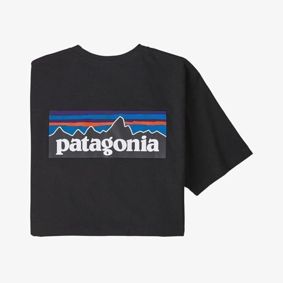 Patagonia Responsibili-Tee Pocket Logo Graphic T-Shirt Black Size S - Picture 3 of 8